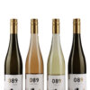 Probierpaket L | 4 x 089-Wein (Rosé, Riesling, Grauburgunder, Secco)