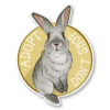 Sticker "Adopt don't shop"