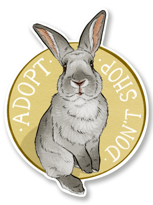 Sticker "Adopt don't shop"