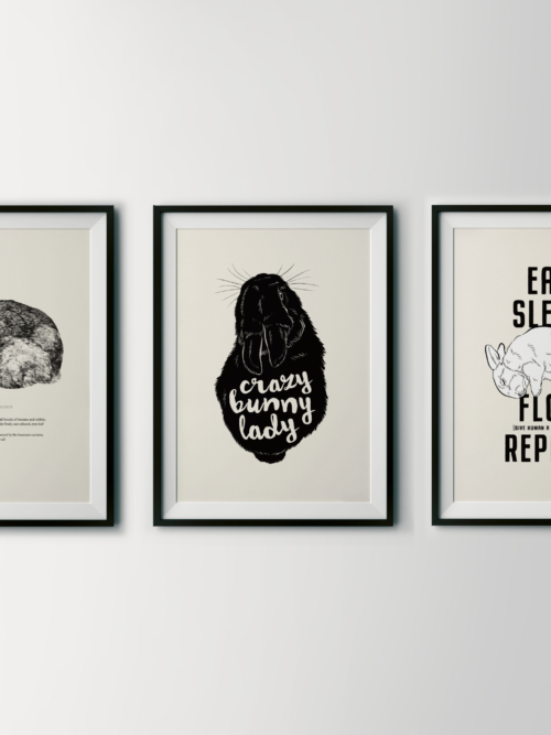 Kunstdrucke "Crazy Bunny Lady Starter Kit"