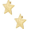 Mega Star Ohrringe
