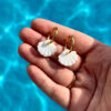 Shell Hoops